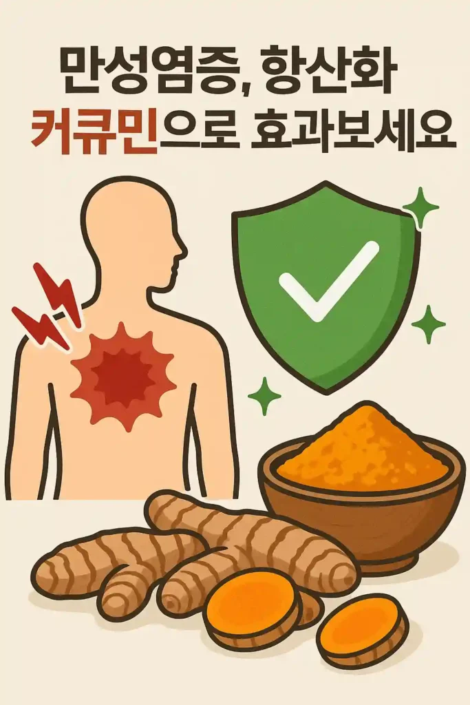 만성염증, 항산화 커큐민으로 효과보세요